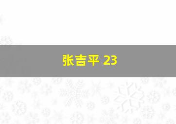 张吉平 23